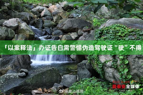「以案释法」办证告白需警惕伪造驾驶证“驶”不得